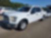 1FTEW1C82GKE56902-2016-ford-f-150-0