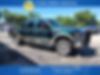 1FTSW21559EB06036-2009-ford-f-250-0