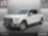 1FTEW1EP1FKE14238-2015-ford-f-150-0