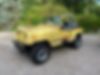 2J4FY39T3KJ147836-1989-jeep-islander-1