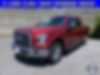 1FTEW1EFXHFB15981-2017-ford-f-150-0