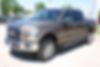 1FTEW1EP3GKE15246-2016-ford-f-150-0
