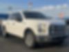 1FTEW1CP1GKD79687-2016-ford-f-150-1