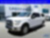 1FTEW1EP7HFA04118-2017-ford-f-150-0