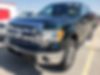 1FTFW1ET9DKF51541-2013-ford-f-150-0