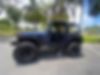 1J4FA39S03P302410-2003-jeep-wrangler-2