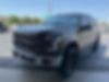 1FTEW1EP0FKE09242-2015-ford-f-150-0