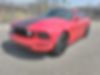1ZVHT80N185191055-2008-ford-mustang-0
