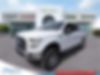 1FTEW1EP8HKD22739-2017-ford-f-150-0