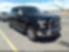 1FTEW1EP6GKF03613-2016-ford-f-150-0