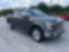 1FTEW1EF1GFA59086-2016-ford-f-150