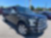 1FTEW1EFXFFC83875-2015-ford-f-150