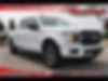 1FTEW1EPXKFC61443-2019-ford-f-150-0