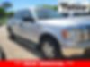1FTEW1C82AFB07657-2010-ford-f-150-0