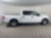 1FTEW1CP1KKD11110-2019-ford-f-150-0