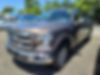 1FTEW1EP1GFA49358-2016-ford-f-150-0