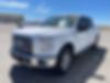 1FTEW1EF3HKC96087-2017-ford-f-150-0