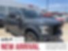 1FTEW1EP2GKF66837-2016-ford-f-150-0