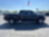 1FTFW1ET8DKD46079-2013-ford-f-150-1