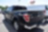 1FTFW1ET4DFD51546-2013-ford-f-150-1