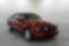 1ZVHT85H985110290-2008-ford-mustang-1