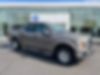 1FTEW1E59JFB87736-2018-ford-f-150-0