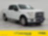1FTEW1CP0HFC55906-2017-ford-f-150-0