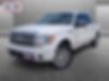 1FTFW1ET1BFD26553-2011-ford-f-150-0