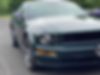1ZVHT82H685179684-2008-ford-mustang-1