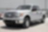 1FTFW1ET2DFB44427-2013-ford-f-150-2