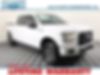 1FTEW1EP2GFC09487-2016-ford-f-150-0