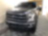 1FTEW1EF6FKD06267-2015-ford-f-150-0