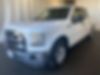 1FTEW1CF8GFA15427-2016-ford-f-150-0
