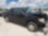 1FTEW1C80AFC45584-2010-ford-f-150-0