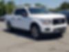 1FTEW1EP9KKD79104-2019-ford-f-150-2