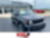 ZACNJBAB6LPL81427-2020-jeep-renegade-0