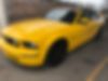 1ZVHT85H665128033-2006-ford-mustang-0