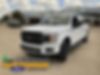 1FTFW1E45KFD32204-2019-ford-f-150-1