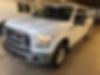 1FTEW1EF8FKD06450-2015-ford-f-150-0