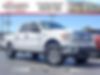 1FTFW1ET3DFD75594-2013-ford-f-150-0