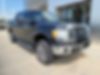 1FTFW1ET9BFB61576-2011-ford-f-150-0