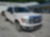 1FTFW1EF9BFD06898-2011-ford-f-150-0