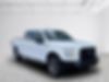 1FTEW1EP2HFB19077-2017-ford-f-150-0