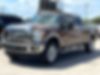 1FT7W2BT3BEC34509-2011-ford-f-250-0