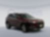 1C4PJMDXXLD635329-2020-jeep-cherokee-1