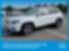1C4PJLDNXKD159560-2019-jeep-cherokee-2