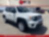 ZACNJBAB6KPK09025-2019-jeep-renegade-0