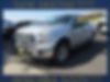 1FTEW1E85HFB53197-2017-ford-f-150-1