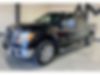 1FTFW1CT0BKD35027-2011-ford-f-150-0