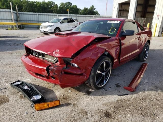 1ZVHT82H785145429-2008-ford-mustang-0